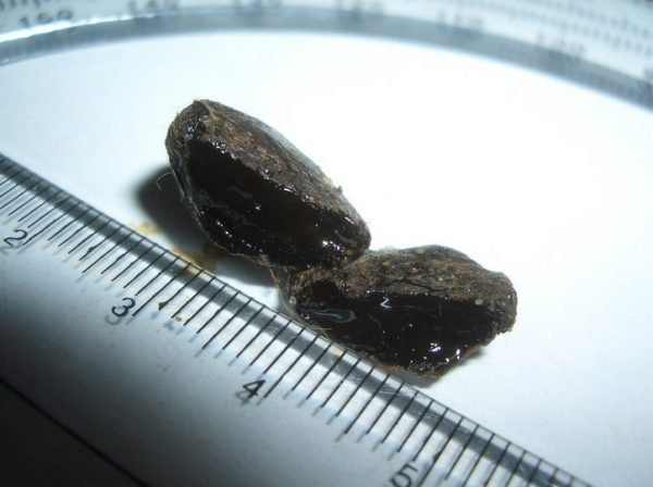 Buy-Black-Tar-Heroin-in-UK-31.jpg Buy Black Tar Heroin in UK - Image 1