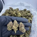 Strawberry's & Jelly Strain