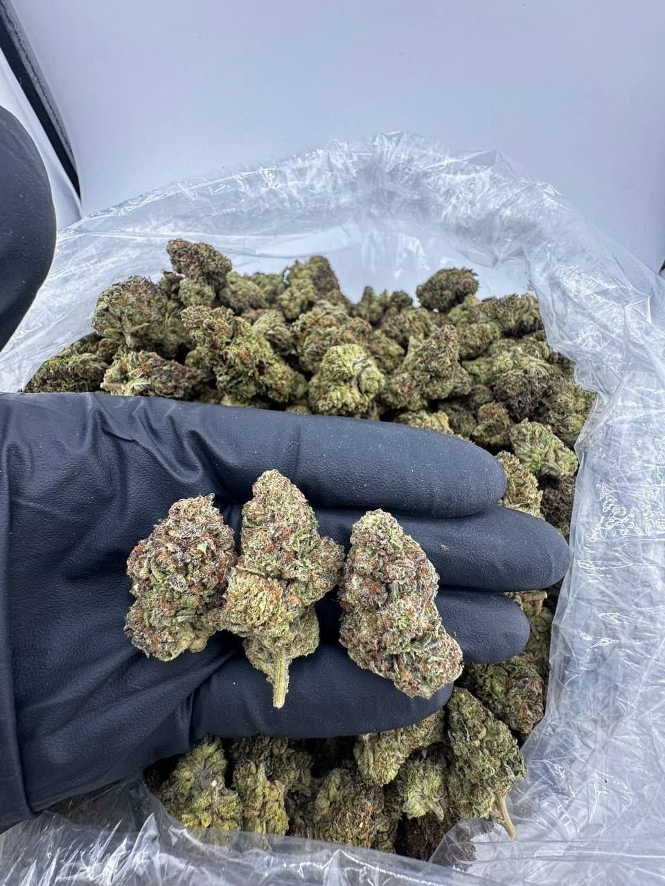 IMG_1792-13.jpeg Strawberry's & Jelly Strain - Image 1
