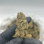 Wedding Cake Strain