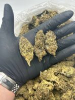 Wedding Cake Strain - Image 3