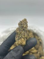 Wedding Cake Strain - Image 2
