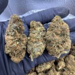 LA Kush Cake Strain