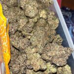 HONEY COMBS🍯 Strain