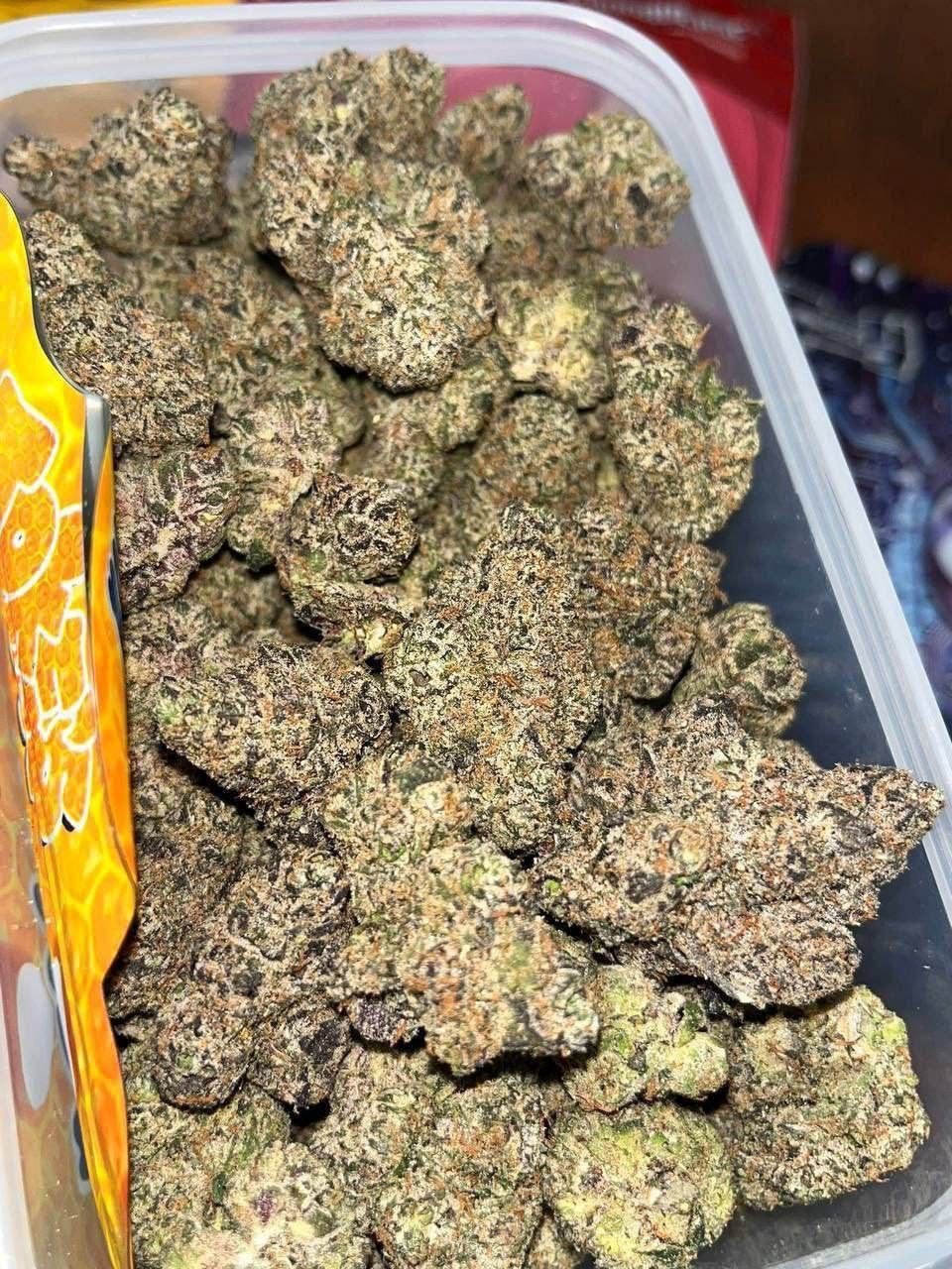 IMG_2363-13.jpeg HONEY COMBS🍯 Strain - Image 1