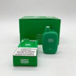 FLUM Pebble Nicotine Vapes - 6000 Puffs